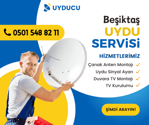 Beşiktaş Uydu Servisi